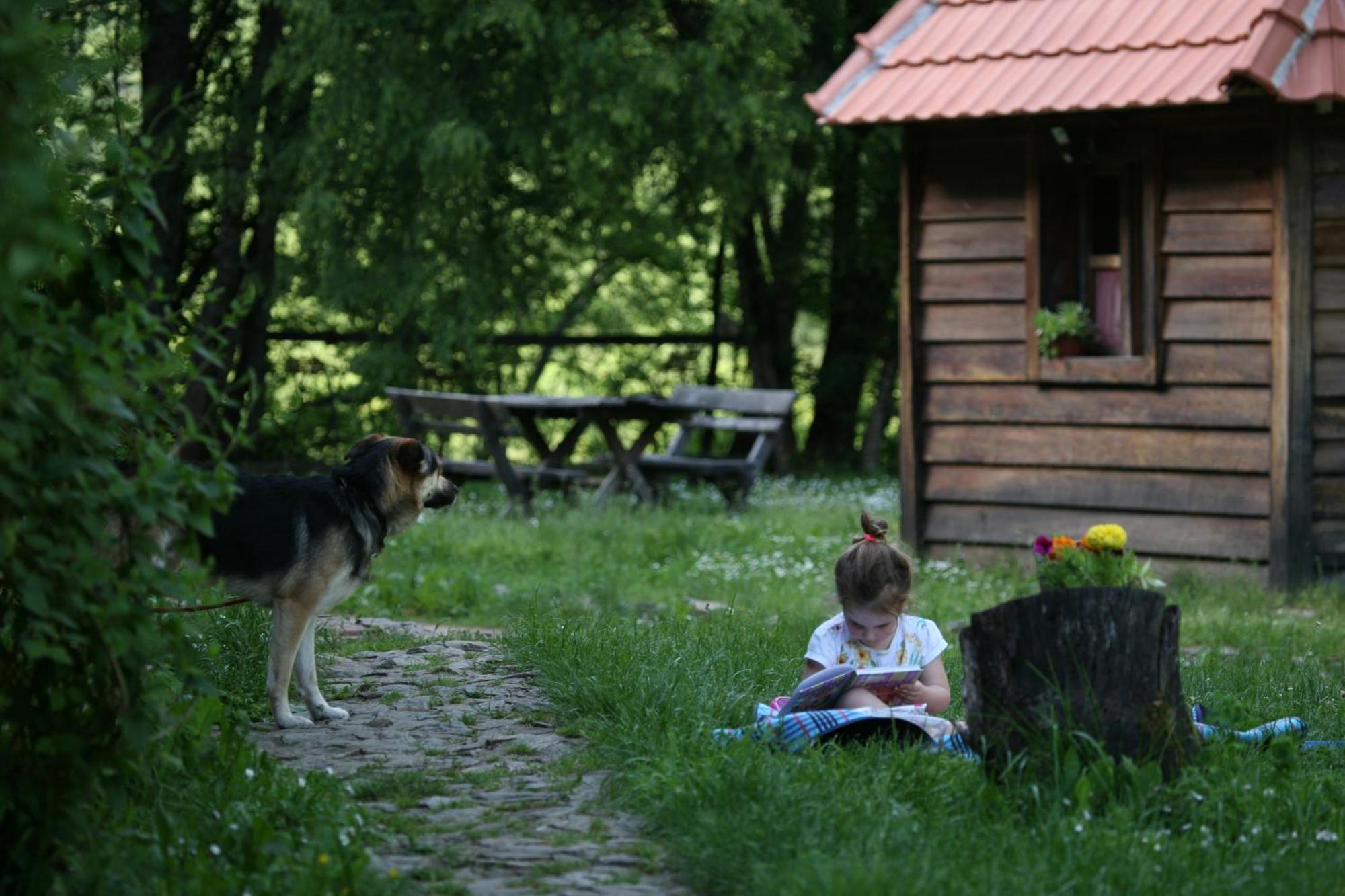 GRAB ethno village&camp Scepan-Polje Camera foto