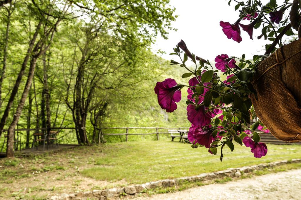 GRAB ethno village&camp Scepan-Polje Esterno foto