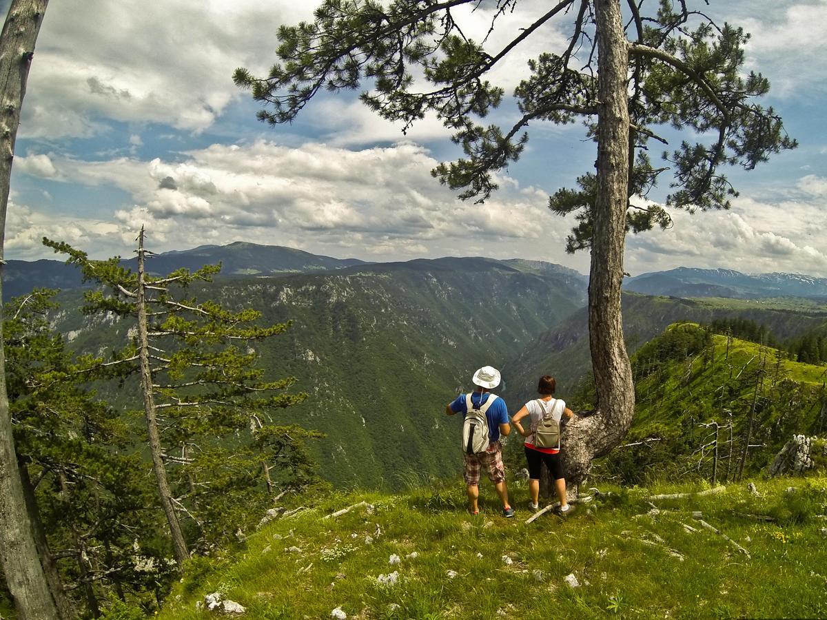 GRAB ethno village&camp Scepan-Polje Esterno foto